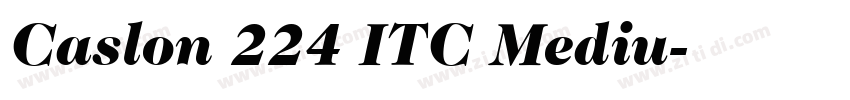 Caslon 224 ITC Mediu字体转换